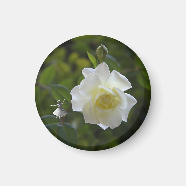 Aimant Fleur de rose blanche (Devant)