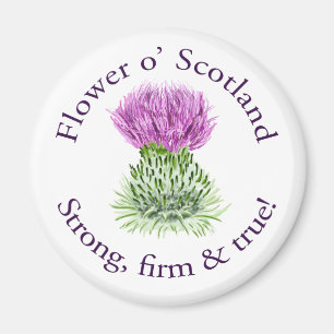 Aimant Fleur d'Ecosse. Fort, ferme et vrai !