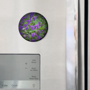 Aimant Fleur d'État du Wisconsin : Lumière de violet de b