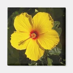 Aimant Fleur d'Hibiscus jaune