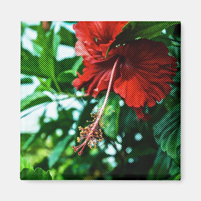 Aimant Fleur d'Hibiscus rouge (Devant)
