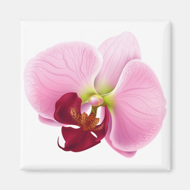 Aimant fleur d'orchidée (Devant)
