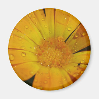 Aimant - Fleur jaune avec gouttes d'eau
