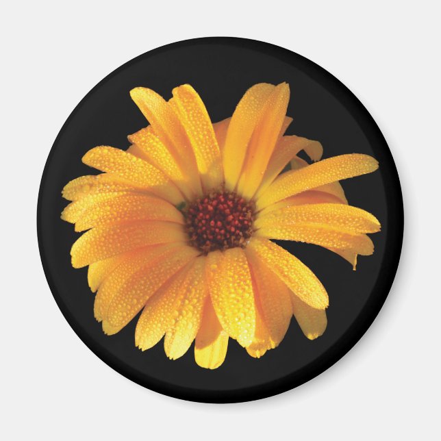 Aimant Fleur jaune & Dew (Devant)