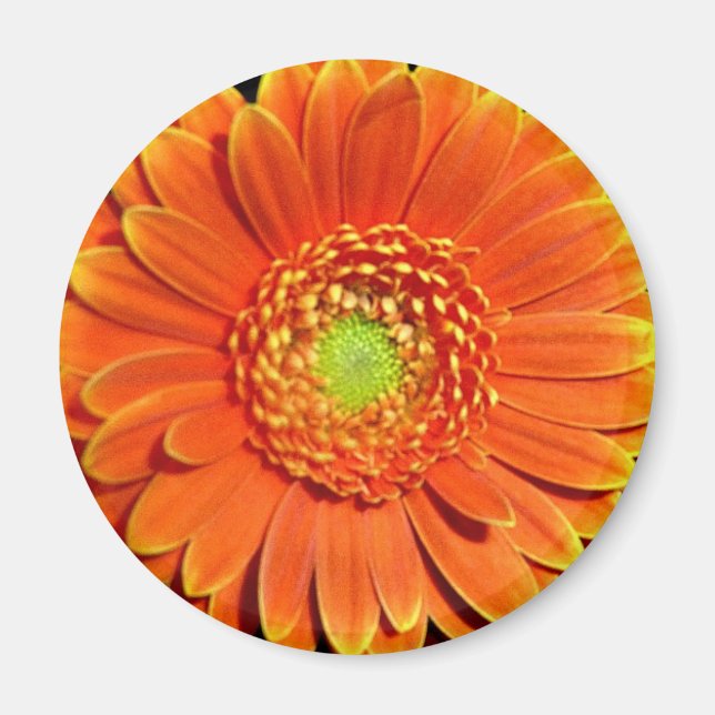 Aimant Fleur Jaune Orange (Devant)