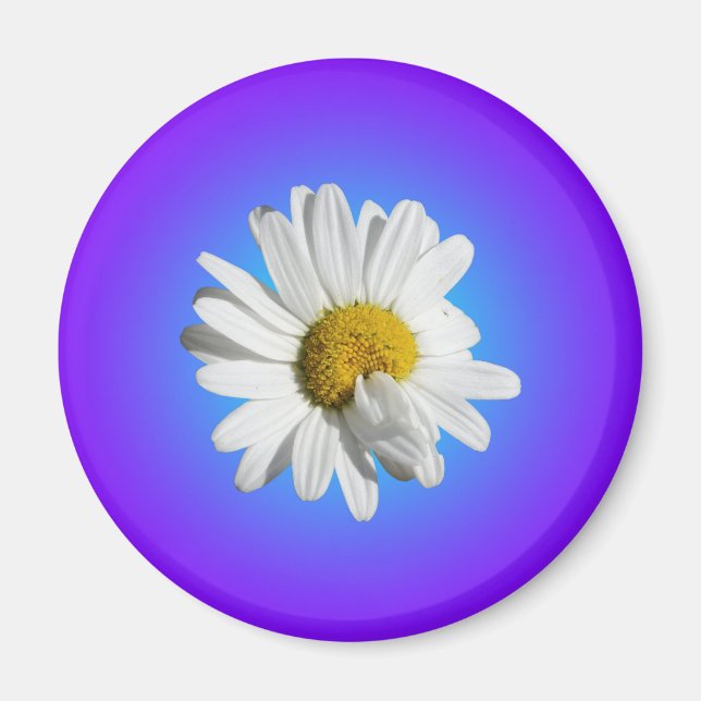Aimant Fleur marguerite blanche Flore pourpre Bleu Dégrad (Devant)