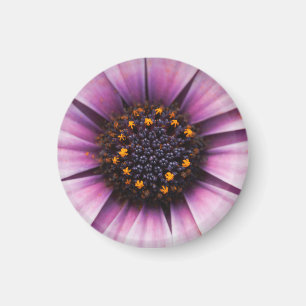 Aimant fleur milieu