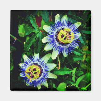 Aimant Fleur Passion