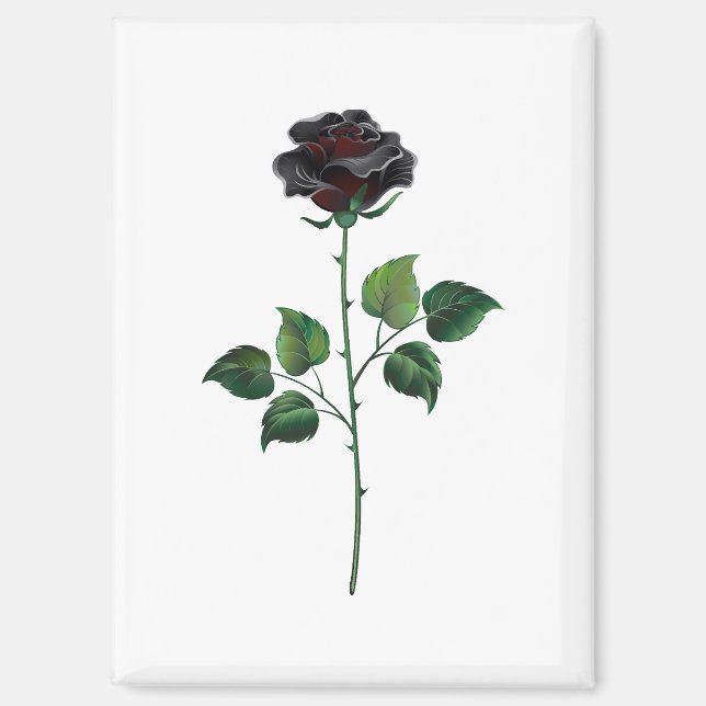 Aimant Fleur rose noire (Recto)