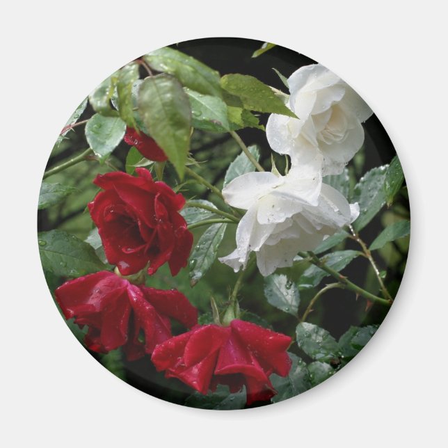 Aimant Fleur Rose trempée (Devant)