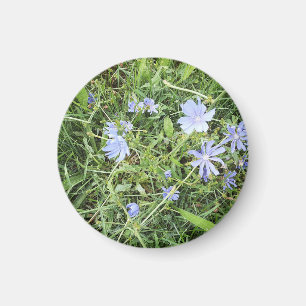 Aimant Fleur sauvage