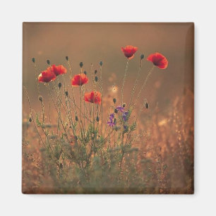 Aimant fleur sauvage