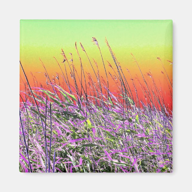 AIMANT FLEUR SAUVAGE (Devant)