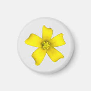 Aimant Fleur sauvage jaune