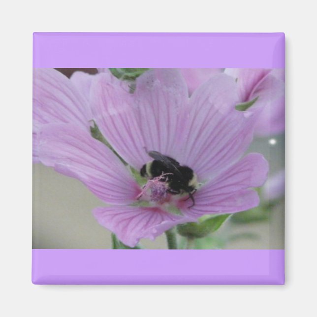 Aimant Fleur violet clair avec abeille (Devant)