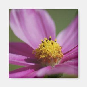 Aimant Fleur violette