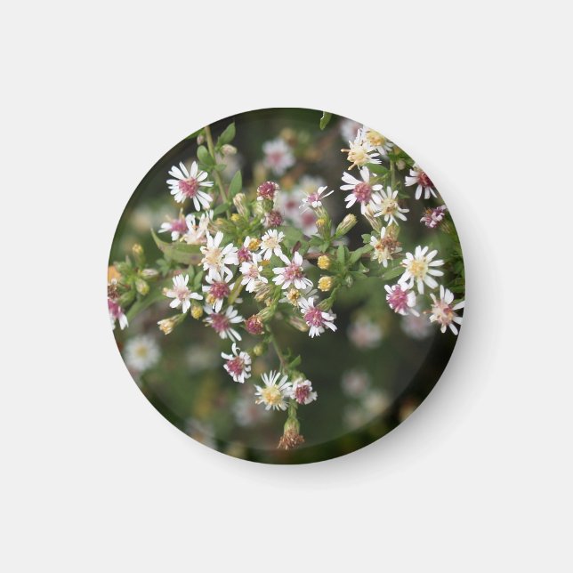 Aimant Fleurs blanches minuscules (Devant)