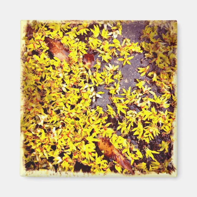 Aimant Fleurs d'art branchées sur le filtre Retro au sol (Devant)