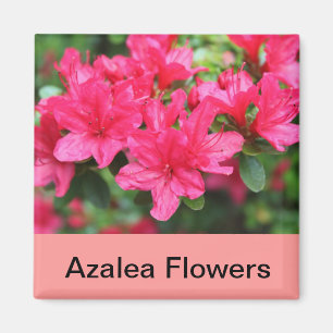 Aimant fleurs d'azalée rose