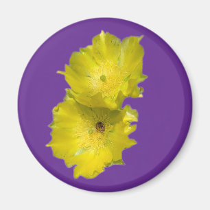 Aimant Fleurs de cactus