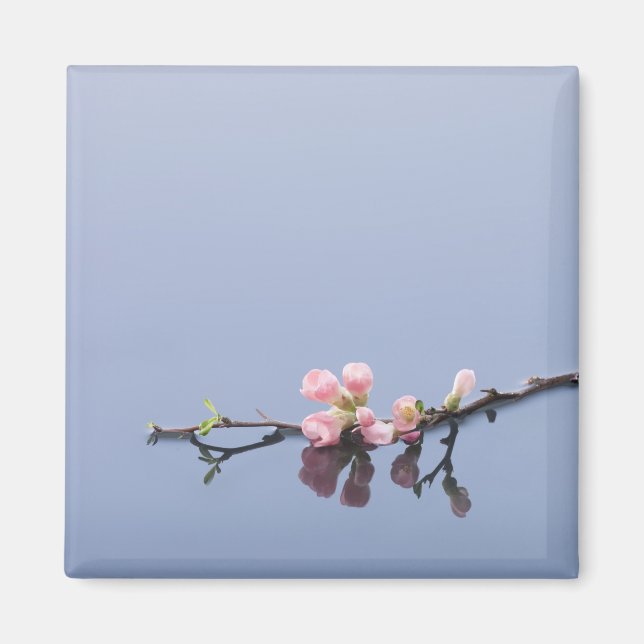 Aimant Fleurs de cerisiers sur l'eau (Devant)