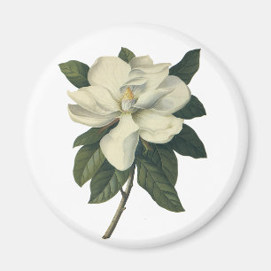 Aimant Fleurs de fleurs vintages de Magnolia Blanche en f