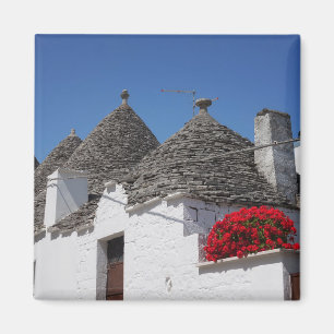 Aimant Fleurs de géranium et maisons de trulli dans