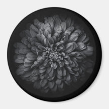 Fleurs De jardin En Noir Et Blanc No 68