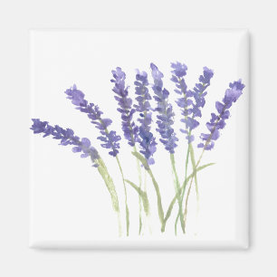 Aimant Fleurs de lavande aquarelle herbes rustiques
