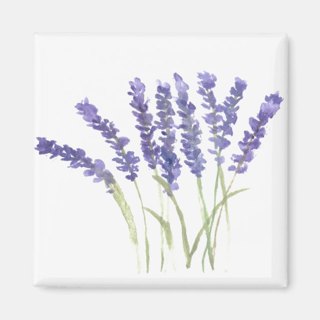 Aimant Fleurs de lavande aquarelle herbes rustiques (Devant)