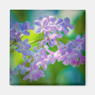 Aimant Fleurs de lilas violettes