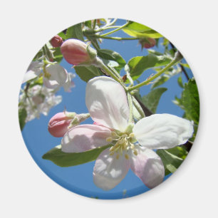 Aimant FLEURS DE POMMIER MAGNÉTIQUES Fleurs Roses Pommier