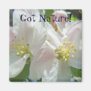 Aimant Fleurs de pommier rose 'Got Nature!'