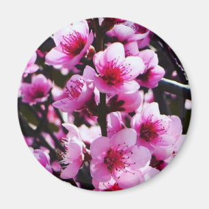 Aimant Fleurs de ressort