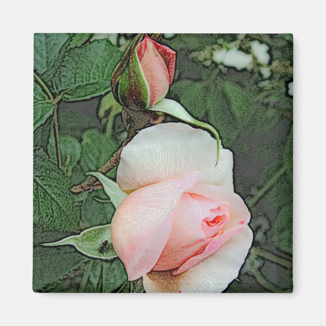 Aimant fleurs de rose rose (Devant)