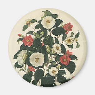 Aimant Fleurs de roses de jardin antiques florales vintag