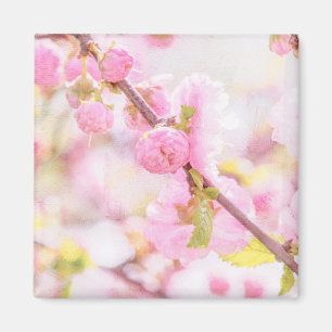 Aimant Fleurs de sakura roses - Fleur de cerisier japonai