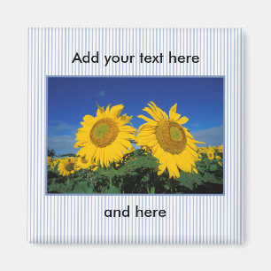 Aimant Fleurs de soleil