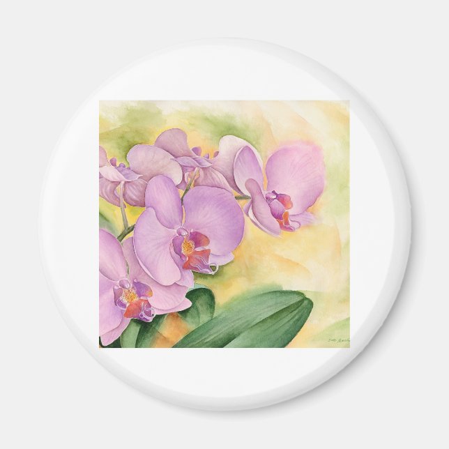 Aimant Fleurs d'orchidées Phalaenopsis - Multi (Devant)