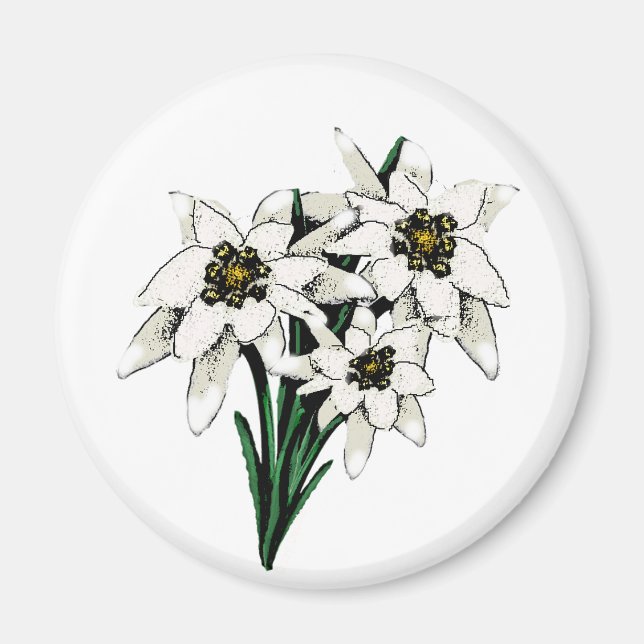 Aimant Fleurs Edelweiss (Devant)