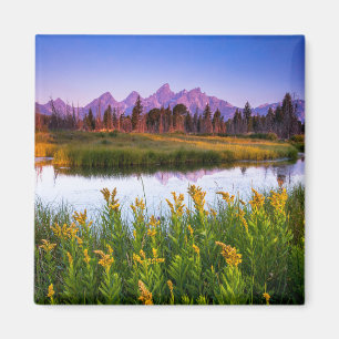 Aimant Fleurs Grand Teton National Park, Wyoming