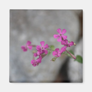 Aimant Fleurs Mini-roses avec pierres