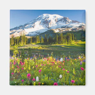 Aimant Fleurs Mt. Rainier Fleurs sauvages