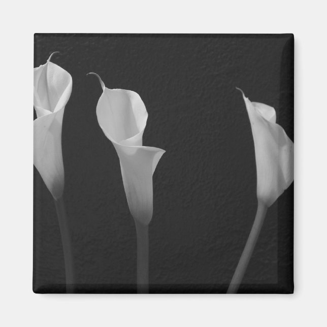 Aimant Fleurs noires et blanches (Devant)