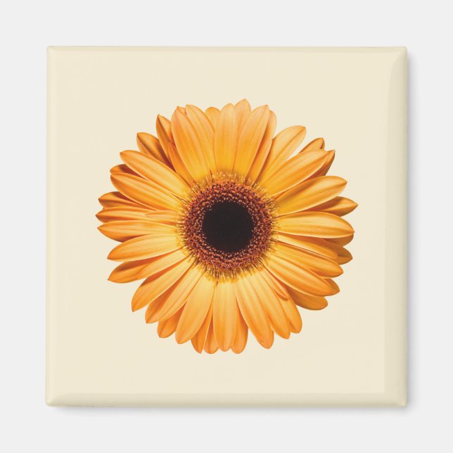 Aimant Fleurs | Orange Gerbera (Devant)