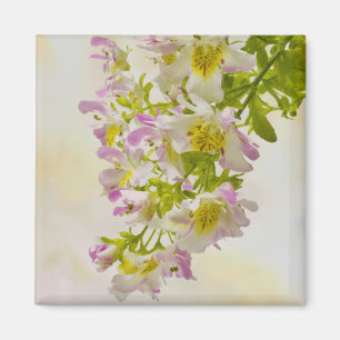 Aimant Fleurs papillons