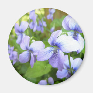 Aimant Fleurs pourpres de jardin