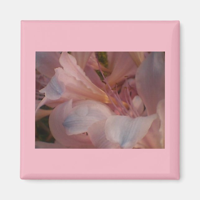 Aimant Fleurs roses (Devant)