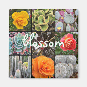 Aimant Fleurs roses Cactus Photo Collage Fleur Script