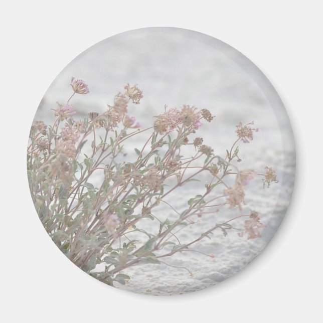 Aimant Fleurs Roses Sur Sable Blanc (Devant)
